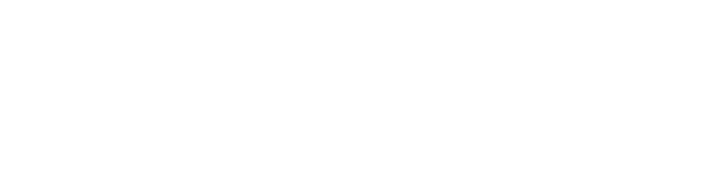 IT Solutions – Lorenz Blechschmidt
